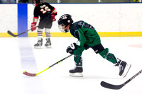 CIA_Hockey_Lesson_2023