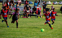 MLS GO