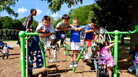Park Recess Reveal