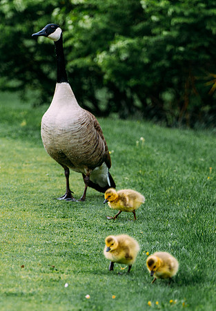 4theKids_26