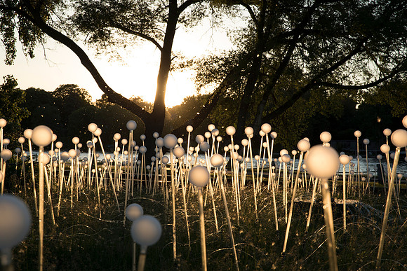 "Field of Light" - Bruce Munro