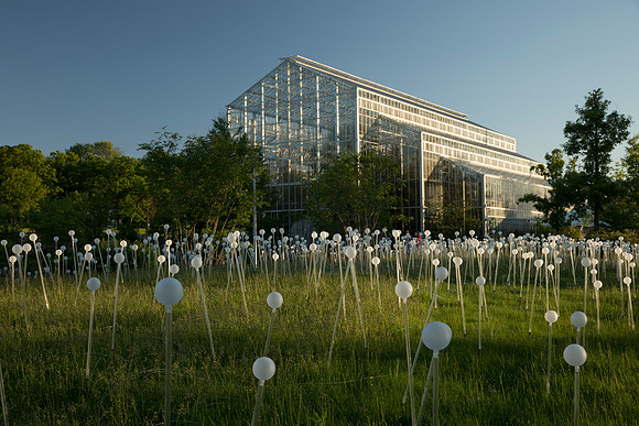"Field of Light" - Bruce Munro