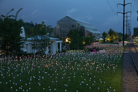 "Field of Light" - Bruce Munro