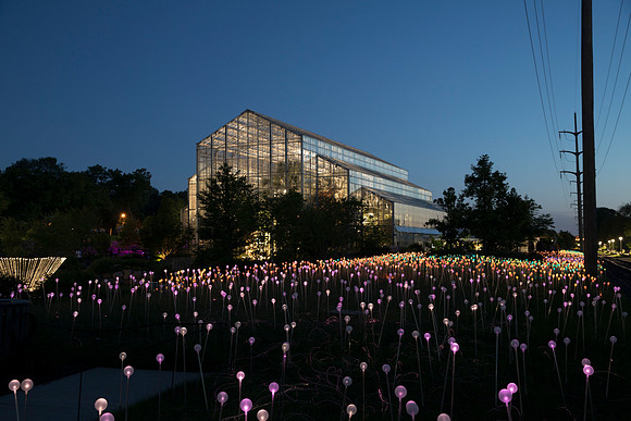 "Field of Light" - Bruce Munro