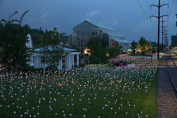 Bruce Munro (General Shots)