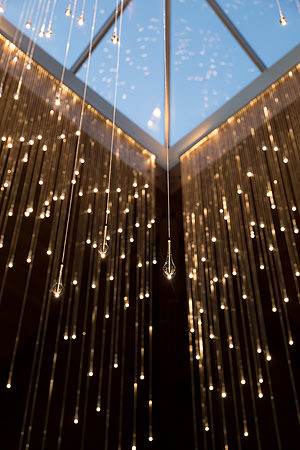 "Light Shower" - Bruce Munro