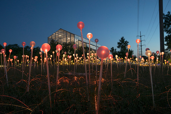 "Field of Light" - Bruce Munro