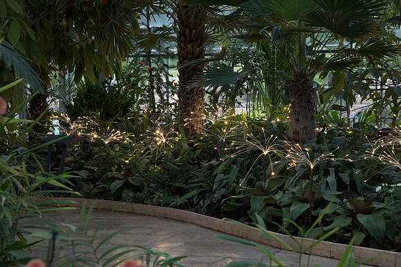 "Fireflies" - Bruce Munro