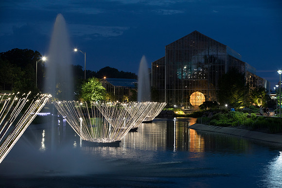 "Blooms" - Bruce Munro