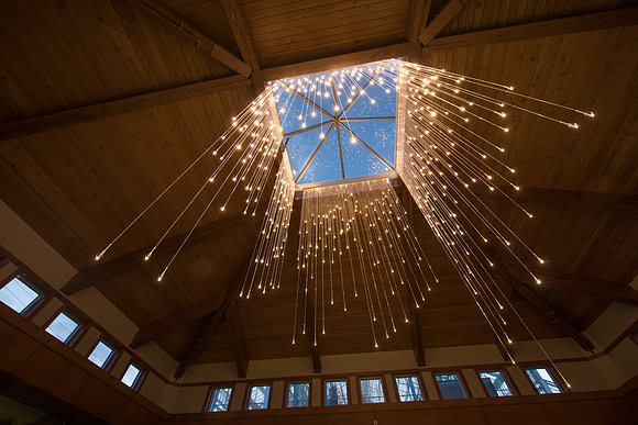 "Light Shower" - Bruce Munro