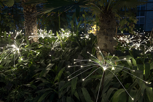 "Fireflies" - Bruce Munro