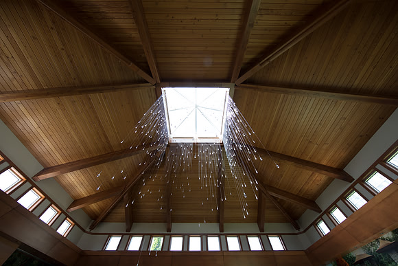 "Light Shower" - Bruce Munro