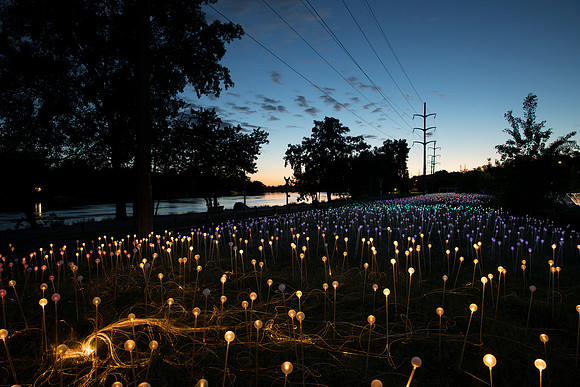 "Field of Light" - Bruce Munro