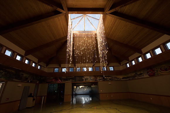 "Light Shower" - Bruce Munro
