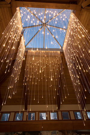 "Light Shower" - Bruce Munro