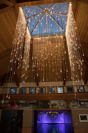 "Light Shower" - Bruce Munro