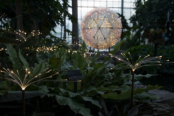 "Fireflies" - Bruce Munro