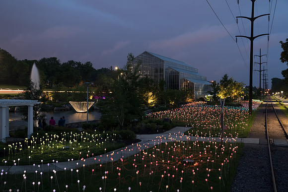 Bruce Munro (General Shots)