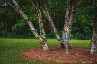 Disc Golf